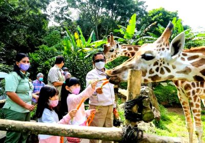 Menko Polhukam Mahfud MD Ajak Cucunya Berekreasi ke Taman Safari Bogor