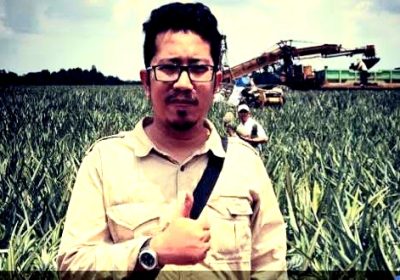 Hasil Kerja Keras Jajaran Kementan Produktifitas Jagung Meningkat Tajam