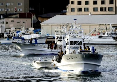 Tujuh Orang Ditemukan dari Kapal Jepang yang hilang