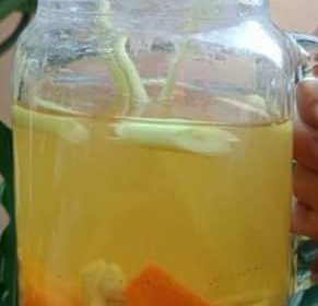 Minuman Imunitas Tubuh