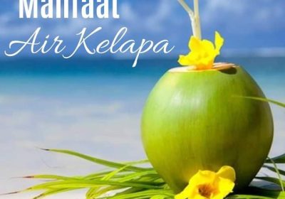 Manfaat Air Kelapa