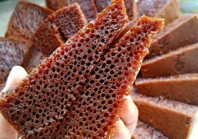 Cake Sarang Semut Ala Bolu Karamel