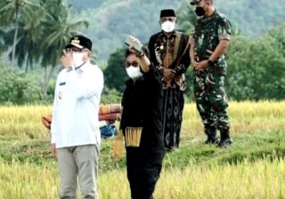 Kerja Cerdas Mentan Syahrul Yasin Limpo Tiga Tahun Tak Impor Beras