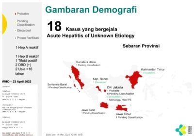 Kemenkes Temukan 18 Orang Dugaan Kasus Hepatitis Akut