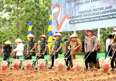 Respons Cepat,  Jajaran TNI AD Olah Lahan Tidur Jadi Lahan Produktif