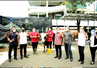 Jamkrindo Berbagi Hewan Kurban Untuk Masyarakat