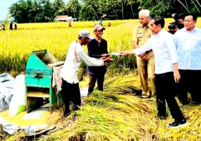 Presiden Jokowi Panen Raya Padi di Kecamatan Ambal Kabupaten Kebumen