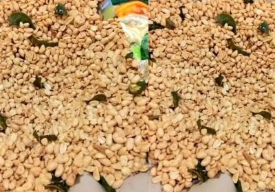 Kacang Bawang