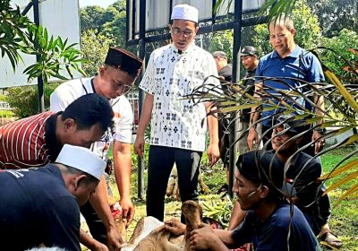 Hari Raya Idul Adha Kejari Jaktim Kurban Sapi dan Kambing