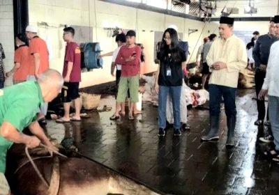 Polresta Kota Malang Salurkan Hewan Kurban 19 Sapi dan 31 Kambing