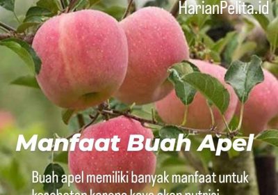 Manfaat Buah Apel