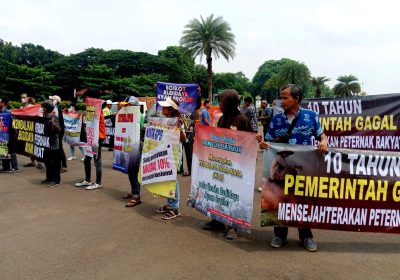 KPUN Tuntut Jokowi Melakukan Langkah Penting Nasib Peternak