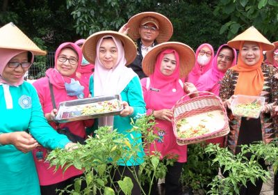 Ketua TP PKK Jaksel Panen Cabai di Dua RPTRA Kecamatan Cilandak