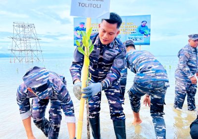 Cegah Abrasi Pantai TNI AL Tanam Ribuan Bibit Mangrove di Toli-Toli