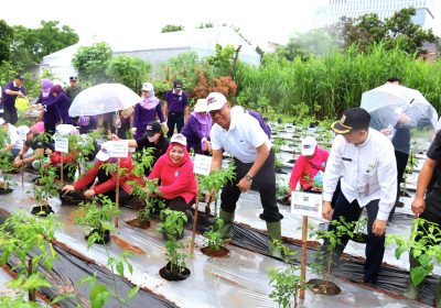Wali Kota Munjirin dan Ketua TP PKK Dampingi PJ Ketua TP PKK DKI Tanam Cabai