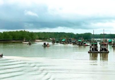 DAS Perimping dan Hutan Bakau Bangka Terancam Punah