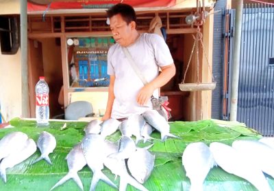 Tahun Baru Imlek dan Bandeng Rawa Belong Tradisi Tionghoa dan Cap Go Meh
