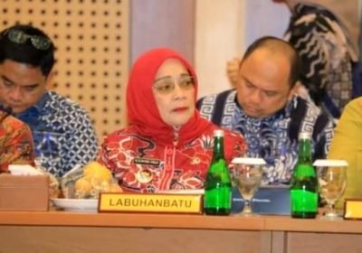 Plt Bupati Labuhanbatu Hadiri Rapat Umum Pemegang Saham