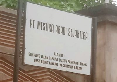 Masyarakat Bukit Layang Harapkan Perkebunan Rakyat dari Perkebunan Sawit PT Mestika Abadi Sejahtera