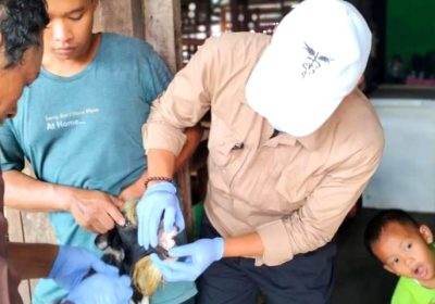 Kecamatan Pesanggrahan dan Satuan Pelaksana Suku Dinas KPKP Cek Kesehatan Kurban