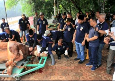 Sekretaris Kota Jaksel Ali Murtadho Saksikan Sembelih Hewan Qurban Pemberian Pj Gubernur Jakarta