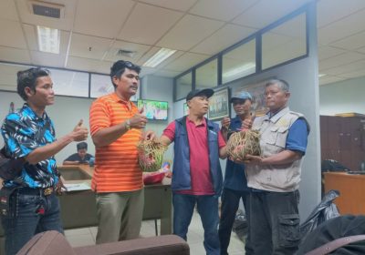 Pokja PWI Jaksel Bagi-bagi Daging Kurban Idhul Adha untuk Anggotanya