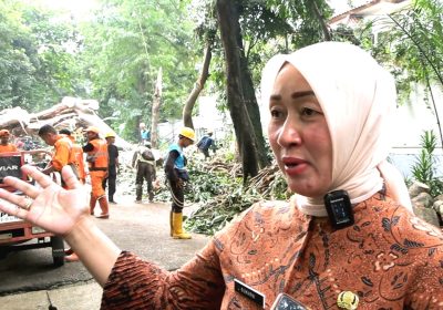 Lurah Pulo Kebayoran Baru Pantau Proses Evakuasi Pohon Tumbang