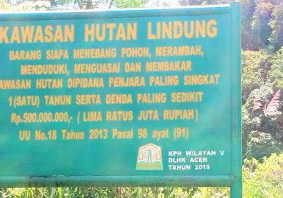 Tambang Emas PT Gayo Mineral Resources Diduga Musnahkan Kawasan Hutan Lindung Gayo
