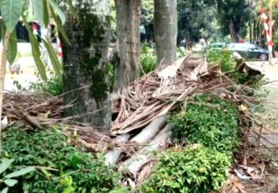 Wilayah Kebayoran Baru Jaksel Sangat Kotor oleh Tumpukan Sampah dan Coretan di Tembok