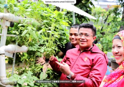 Camat Gambir Panen Bayam dan Sawi di RPTRA Tanah Abang Tiga