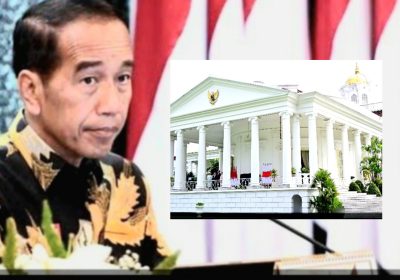 Persiapan ke Solo, Jokowi Bawa 43 Kambing Peliharaan di Istana Bogor ke Kampung Halaman