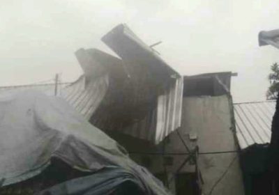 Puting Beliung di Lombok Barat Tumbangkan Pohon dan Rusak Rumah Warga di Desa Kuripan