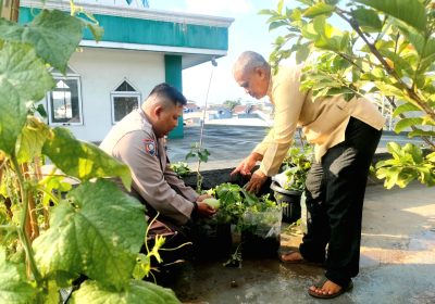 Wujudkan Swasembada Pangan Bhabinkamtibmas dan Warga Palmerah Manfaatkan Lahan Kosong Jadi Lahan Hidroponik