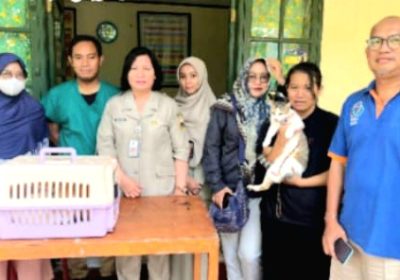 KPKP Kecamatan Pasar Minggu Mevaksinasi 86 Ekor Hewan Peliharaan Rabies