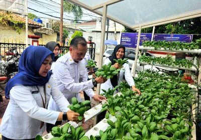 Dukung Program Ketahanan Pangan Bapas Jakbar dan Sudin KPKP Panen Pakcoy Hidroponik