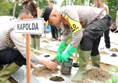 Dukung Program Ketahanan Pangan, Polda Bangka Belitung Tanam Ribuan Bibit di Lahan 50 Hektar
