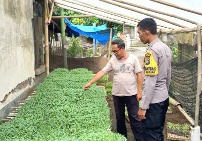 Polres Loteng Ajak Masyarakat Manfaatkan Lahan Pekarangan Tanam Pangan