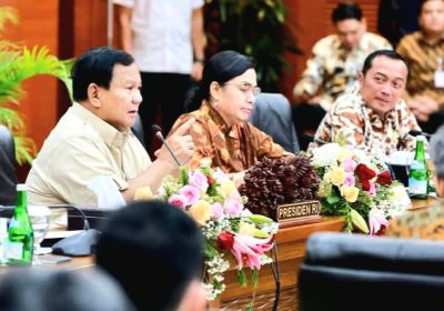 Presiden Prabowo Umumkan Kebijakan Pemerintah Kenaikan Tarif PPN dari 11% Menjadi 12% 1 Januari 2025