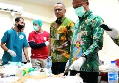 Wali Kota Jaksel Tinjau Sterilisasi Kucing di Gedung Nyi Ageng Serang