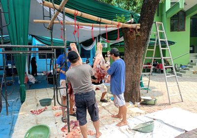 Berkah 12 Hewan Kurban Dipotong di Masjid Guru Amin