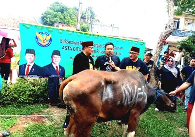 Dewan Adat Bamus Betawi Kurban 14 Sapi dan 22 Kambing di Jabodetabek