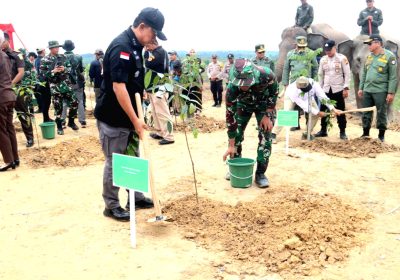 Tim Satgas PKH Tertibkan Kawasan Hutan TNTN Riau  Seluas 81.793 Ha