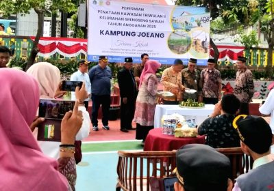 Camat Jagakarsa Resmikan Penataan Kawasan Kampung Joeang TW II 2025