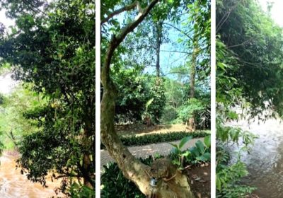 Taman Gintung Tanjung Barat Nasibmu Kini, Lampu Mati, Kotor dan Seram