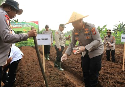 Polres Metro Bekasi Kota Gelar Penanaman Jagung Serentak