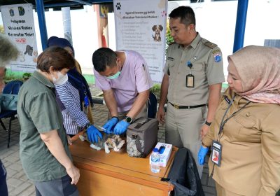 Sudin KPKP Gelar Vaksinasi Rabies Bagi Hewan Penular Rabies