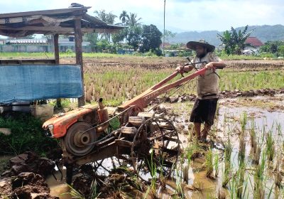 Mesin Traktor Sahabat Setia Petani Meringankan Beban Kerja Petani