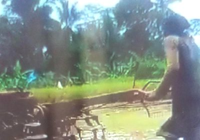 Perbandingan Jasa Traktor Kelompok dan Pribadi