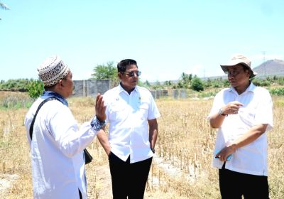 Sekolah Garuda Lotim Siap,  Bupati Warisin: Lahan 42 Hektare Aman, Ini Investasi SDM Unggul Global