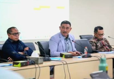 Menyewakan Fasos Fasum, P3SRS Apartemen Park Royal Terancam Dibekukan